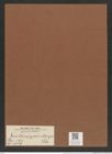 Xanthiopyxis oblonga Ehr. (de-Toni-Nr.: Genus 190, Species 4709) Zeichnungen Sammlung Grunow Mappe 04603 (Herbarium_W_Grunow_drawings_Folder_04603)